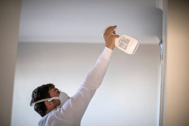 Best Office Mold Removal Services  in Sea Cliff, NY