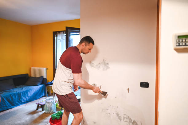Home Mold Removal in Sea Cliff, NY